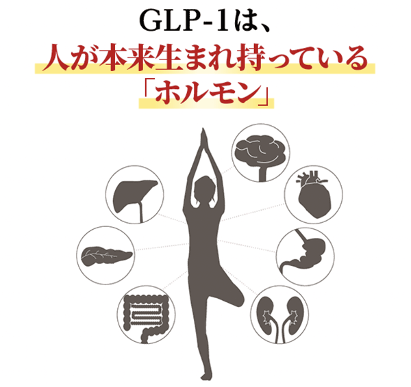 GLP-1は人が持っている痩せホルモン