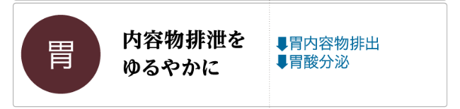GLP-1の主な生理作用「胃」