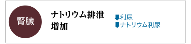 GLP-1の主な生理作用「腎臓」