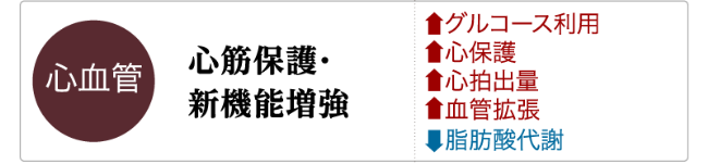 GLP-1の主な生理作用「心血管」
