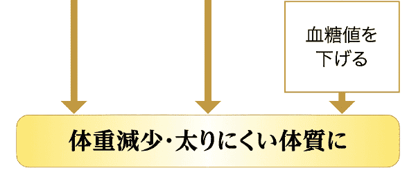 摂取による効果4