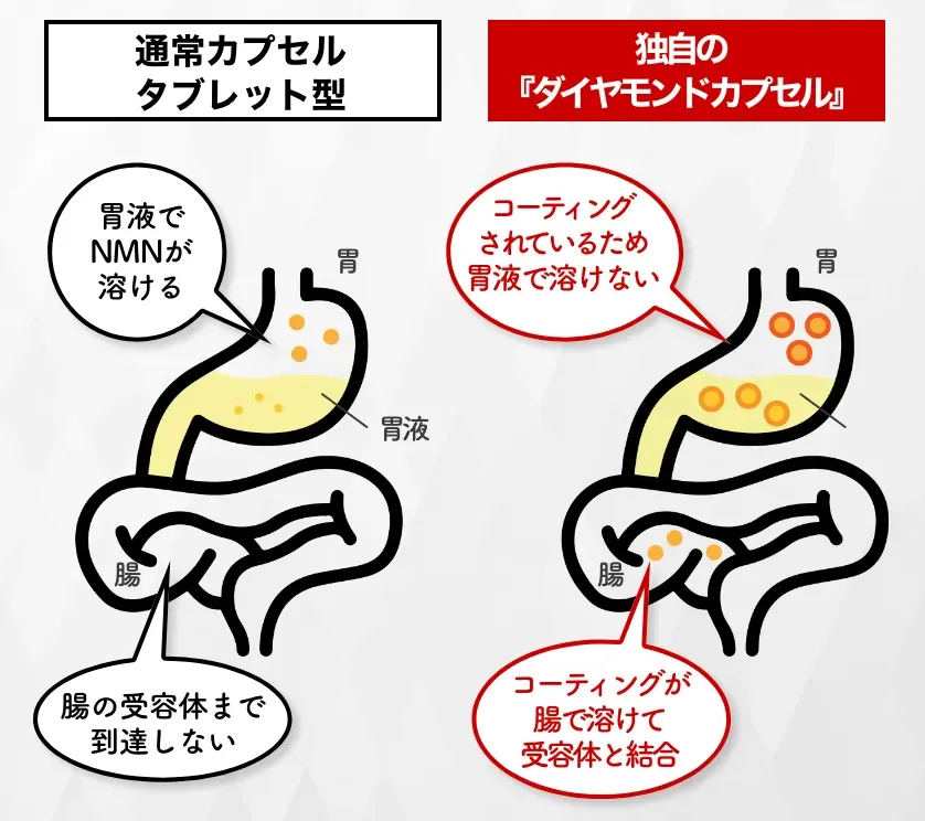 「ダイヤモンドカプセル」仕様